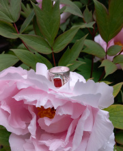 Mokume-gane-ring-pioenroos.jpg